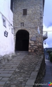 SEBORGA_001