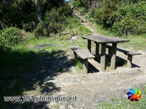 FORNACI FORTINI 015