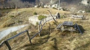 NASINO (1)