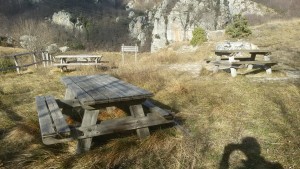 NASINO (2)