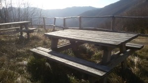 NASINO (4)