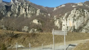 NASINO (5)