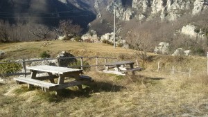 NASINO (6)