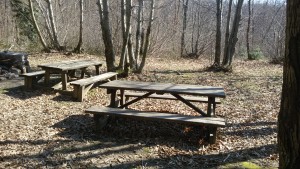 ALPICELLA_004