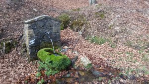 PRARIONDO_008