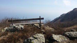 PRARIONDO_017