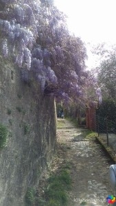 Da Lerici a Tellaro