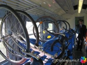 BICITRENO_2