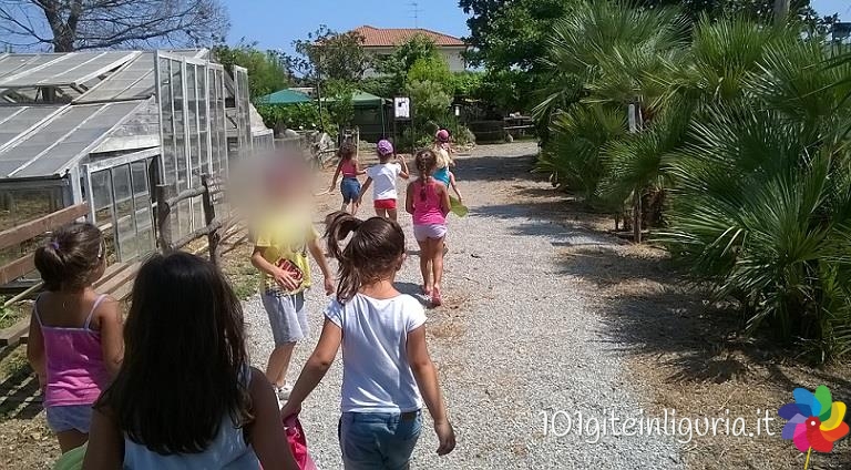 giardino_orchidea