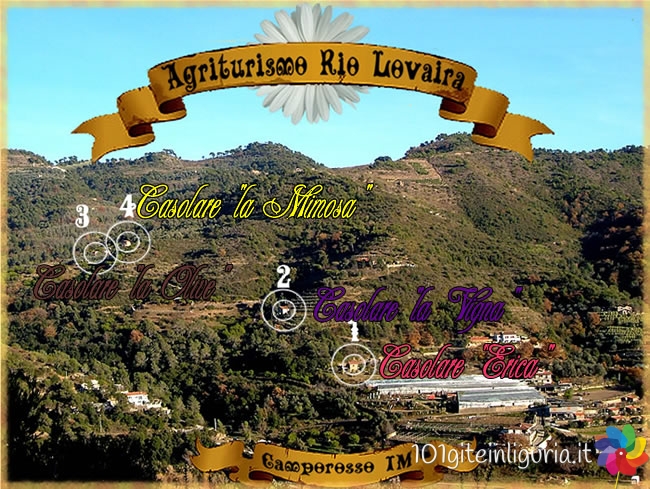rio_lovaira