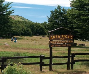 Picnic al passo del Faiallo