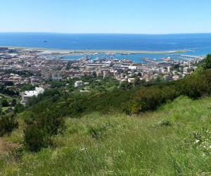 Picnic ai Fortini