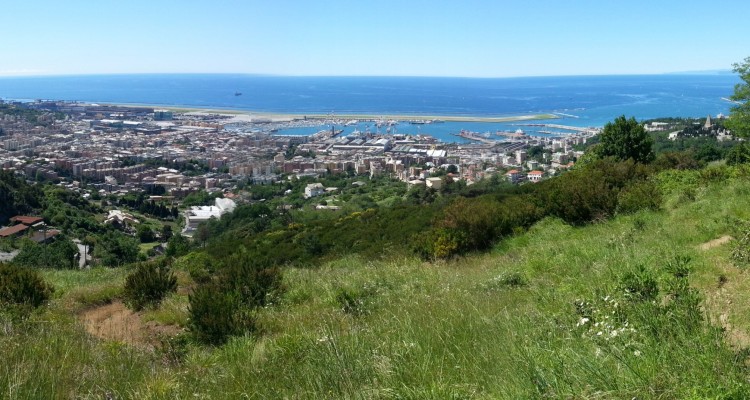 Picnic ai Fortini