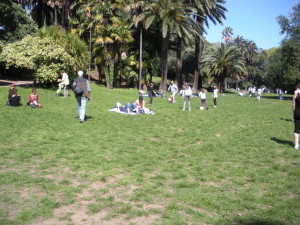 Uno dei vasti prati del parco