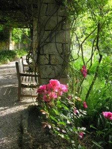 VILLA_HANBURY_PERGOLA