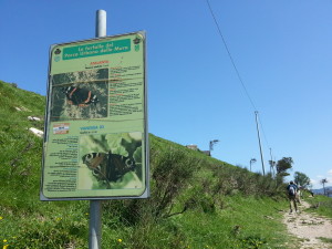 Sentiero delle farfalle al Righi