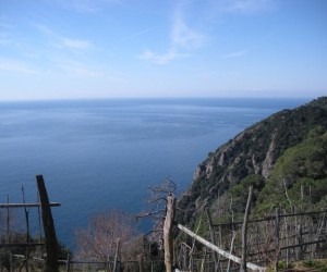 Da Molino del Gassetta a San Fruttuoso