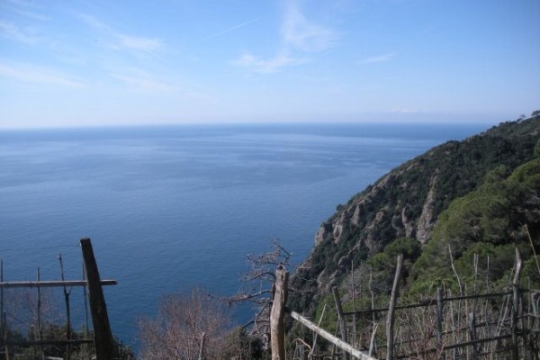 Da Molino del Gassetta a San Fruttuoso