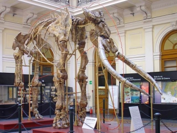 Pasqua e Pasquetta al museo con i bambini