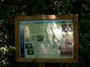 I Ponti Romani nella Val Ponci