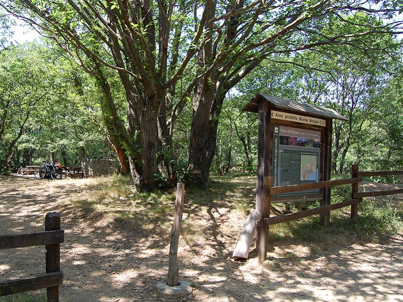 ALPICELLA_AREA_PICNIC