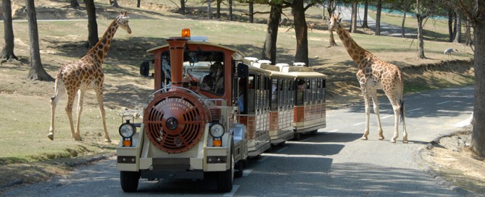 Safari Park Pombia