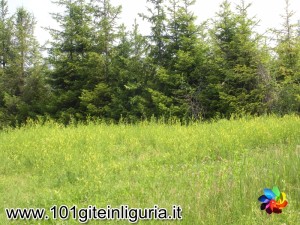 Riserva Naturale Val Sarmassa