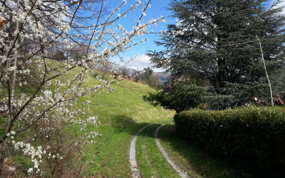 Da La Gaiazza alla Guardia