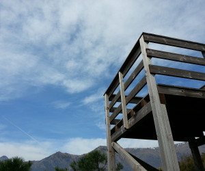 Birdwatching per bambini ad Arenzano