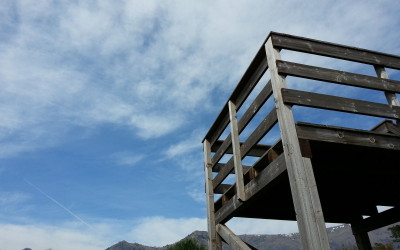 Birdwatching per bambini ad Arenzano