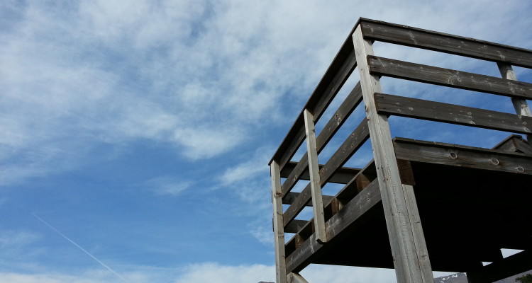 Birdwatching per bambini ad Arenzano