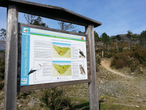 Birdwatching per bambini ad Arenzano
