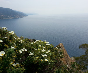 Passeggiata per bambini a Moneglia