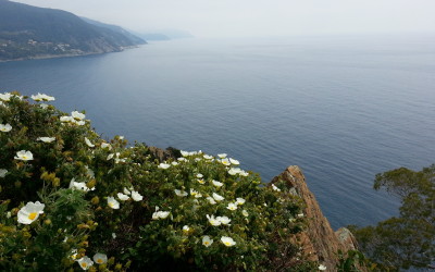 Passeggiata per bambini a Moneglia