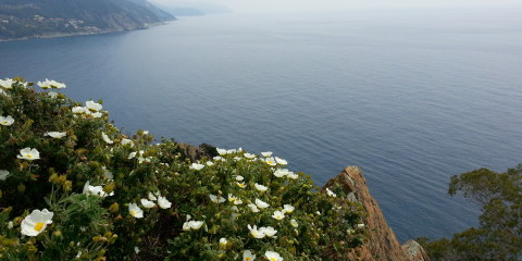 Passeggiata per bambini a Moneglia