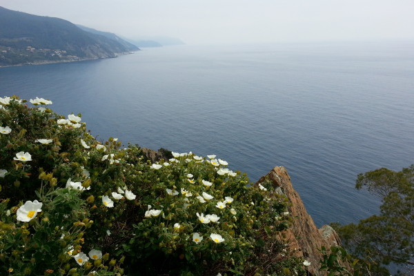 Passeggiata per bambini a Moneglia