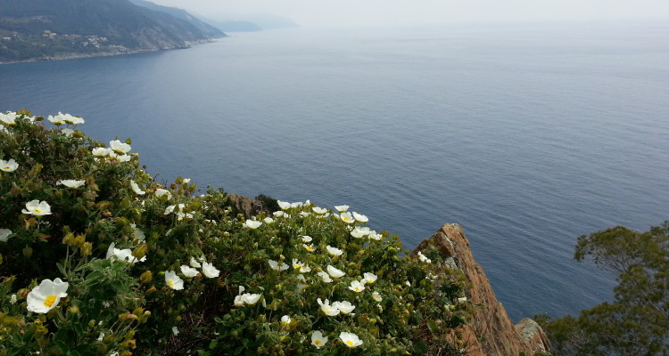 Passeggiata per bambini a Moneglia