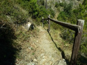 Passeggiata sopra Arenzano: Un tratto del sentiero che scende ad Arenzano