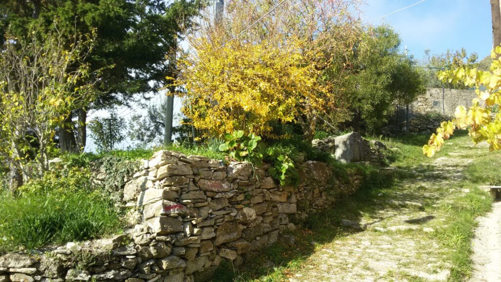 Tratto iniziale del sentiero per Santa Croce da Pieve Alta