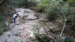 Anello di Pieve Alta