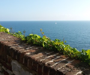Da Vernazzola a Boccadasse