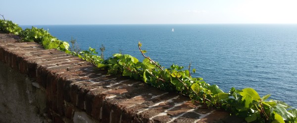 Da Vernazzola a Boccadasse