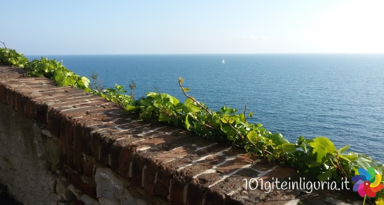 Da Vernazzola a Boccadasse