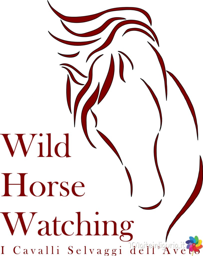 logo_whw2_colore