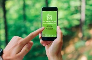 PlantSnap