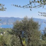 ANELLO_MULINI_PORTOFINO_024