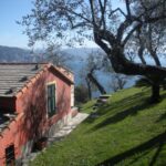 NOZAREGO-GASSETTA_011