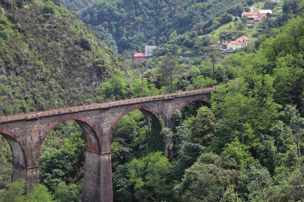 ANELLO_RIO_GAMBARO__0691