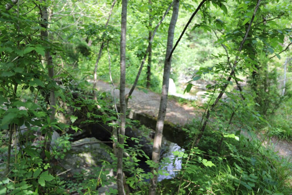 ANELLO_RIO_GAMBARO__0703