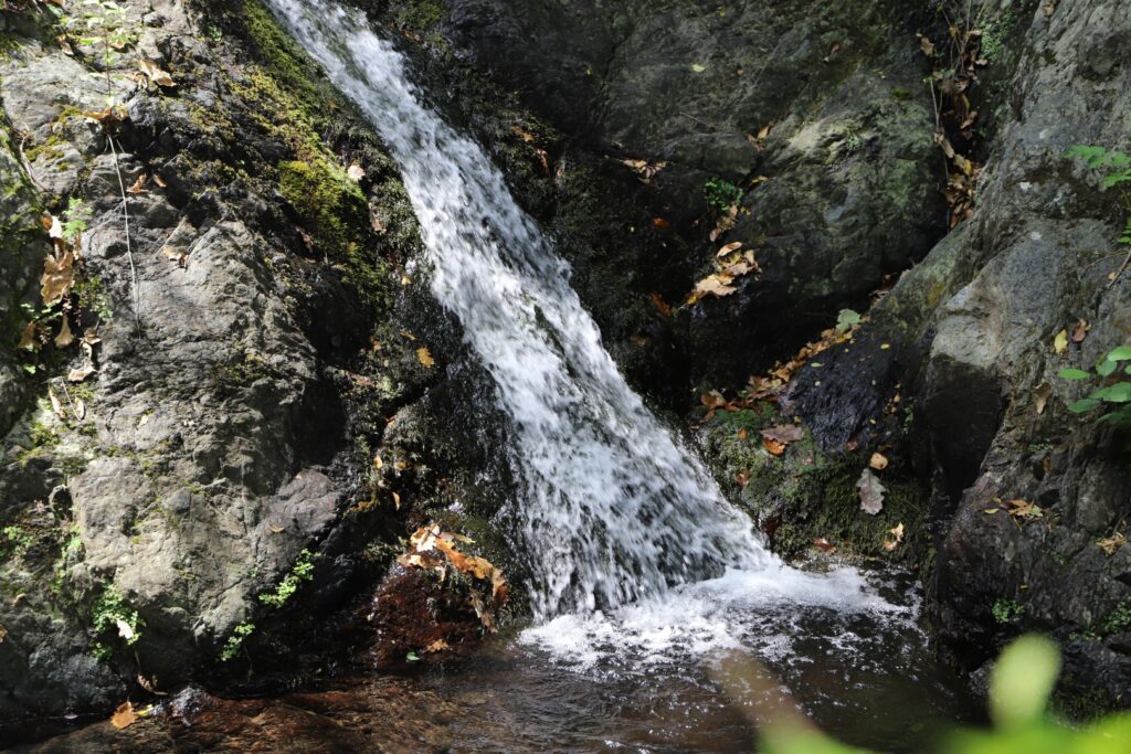 ANELLO_RIO_GAMBARO__0704